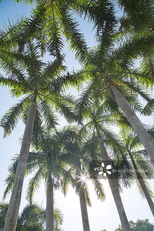 三亚南山小月湾风光图片素材