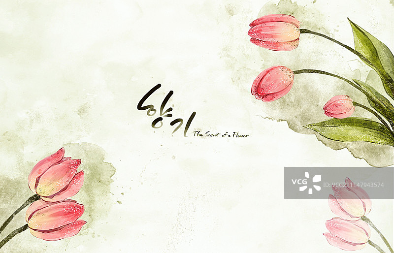 花朵插画图片素材