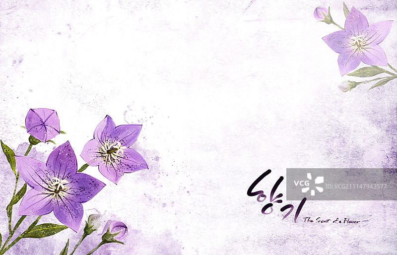 花朵插画图片素材