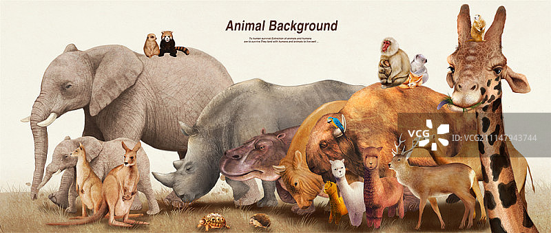 动物背景图片素材