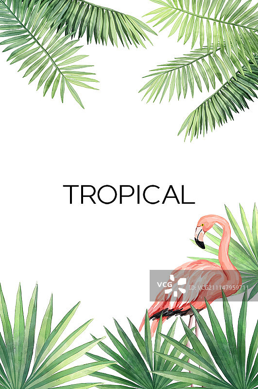 植物艺术插画图片素材