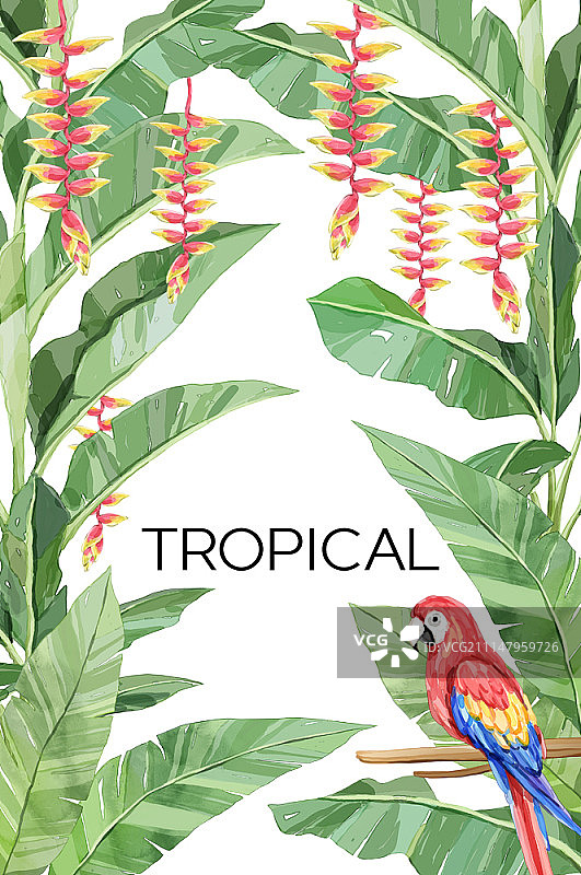 植物艺术插画图片素材