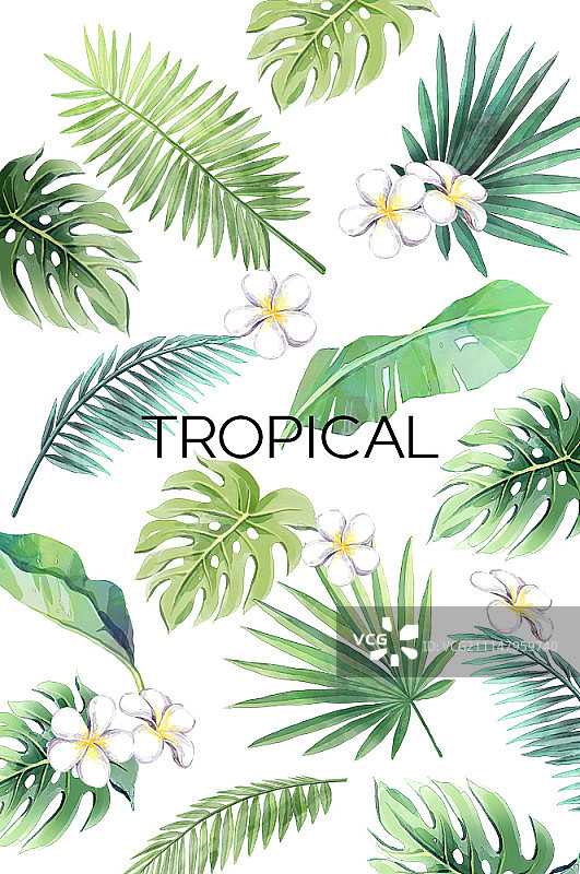 植物艺术插画图片素材