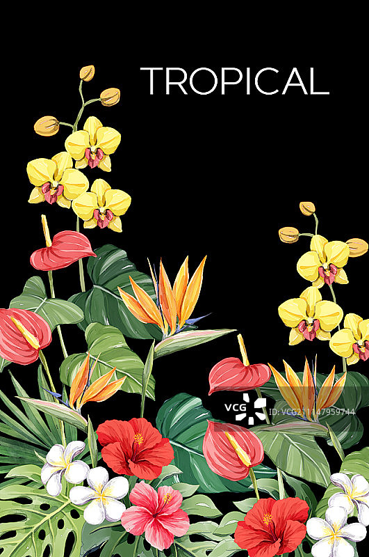 植物艺术插画图片素材