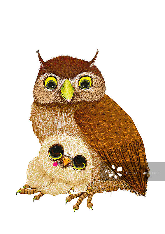 背景分离动物组图共3000多幅-猫头鹰图片素材
