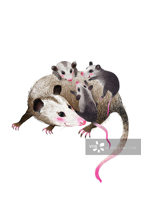 背景分离动物组图共3000多幅-背着孩子出去玩图片素材