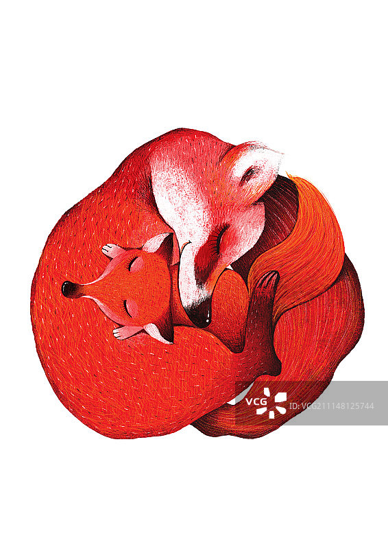 背景分离动物系列组图共3000多幅-抱团取暖图片素材