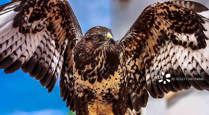 格雅尔-塞拉，西班牙图片素材