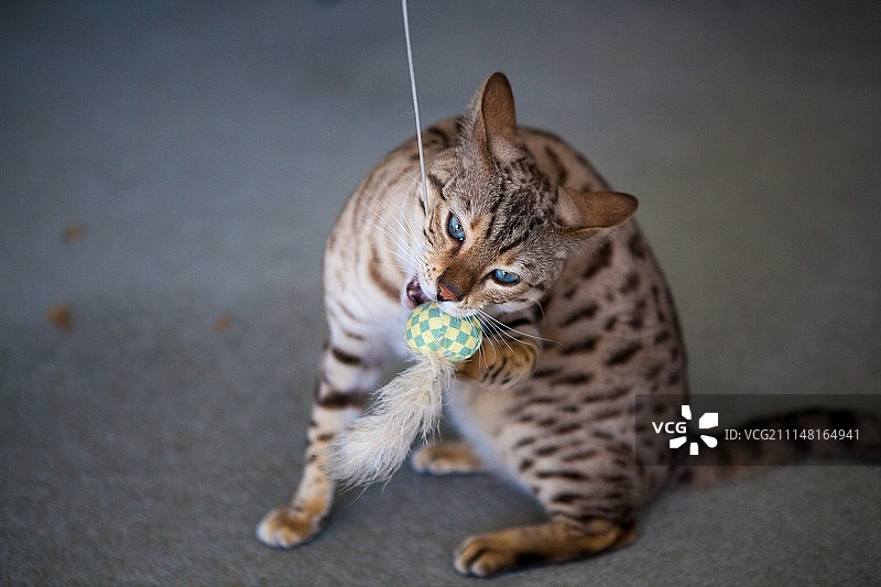 玩耍的时间图片素材