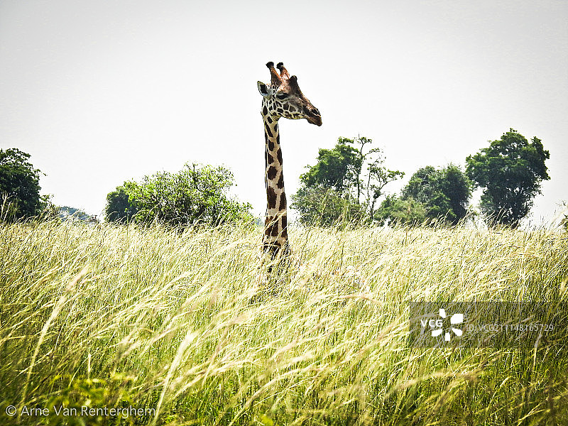 潜望镜生活图片素材