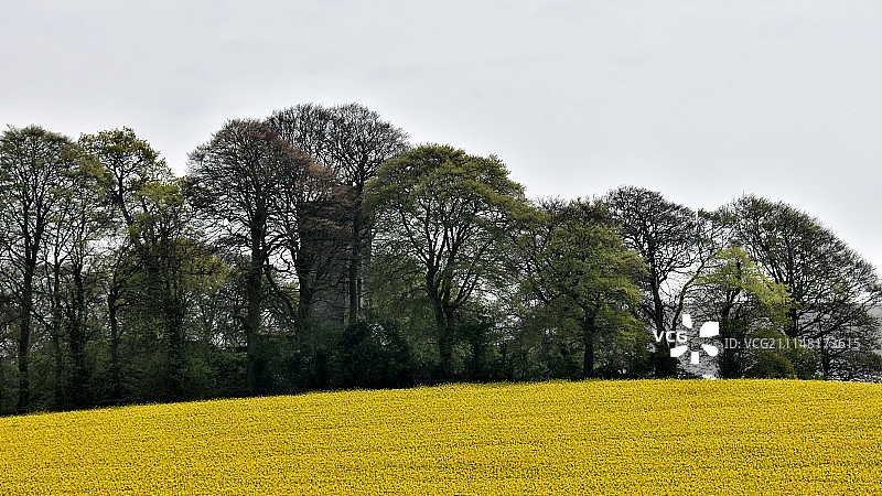 杜恩迪尔根顶部的拜恩的愚行图片素材