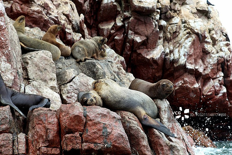 秘鲁-0014图片素材