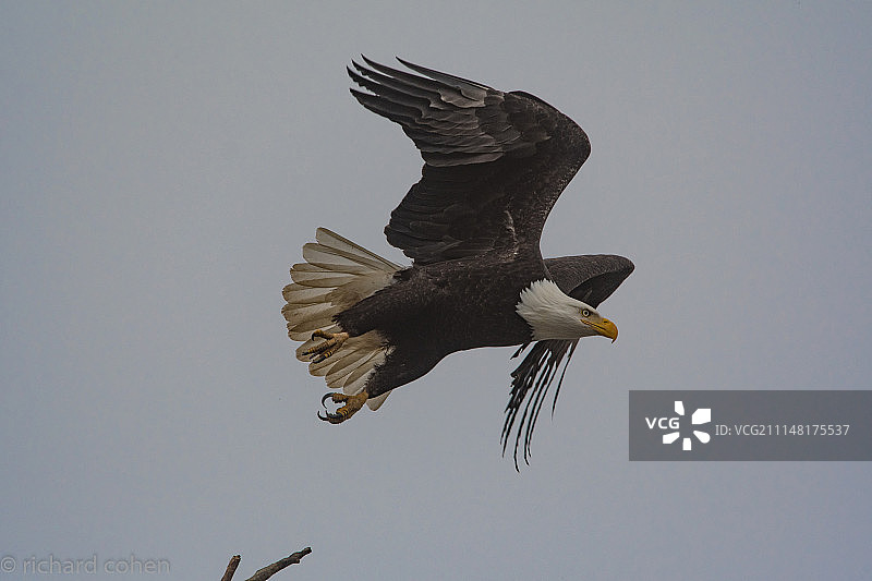 起飞！图片素材