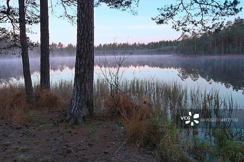 森林湖泊的秋日清晨图片素材