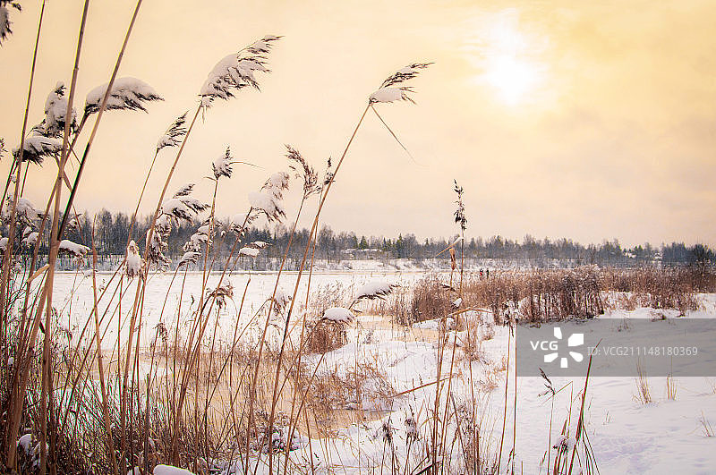 俄罗斯奥特拉德诺耶图片素材