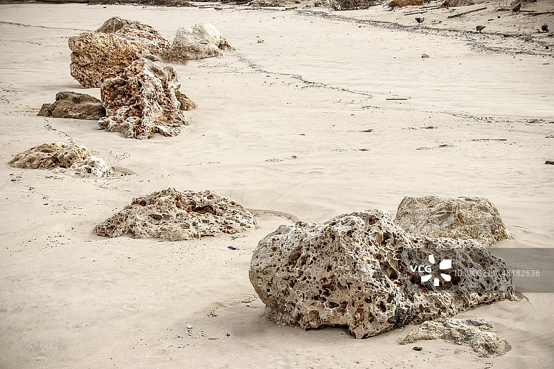 沙滩上的贝壳岩石图片素材