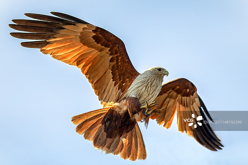 目标时刻图片素材
