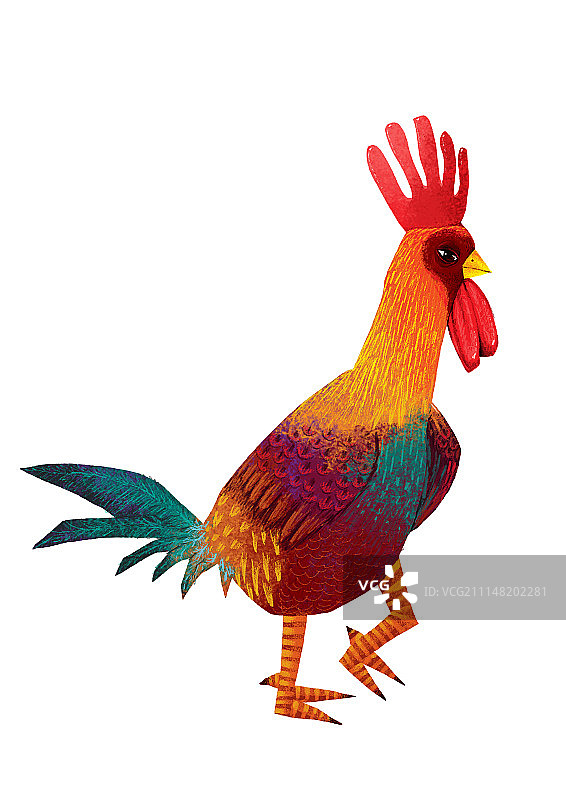 背景分离动物系列组图共3000多幅-散步的公鸡图片素材