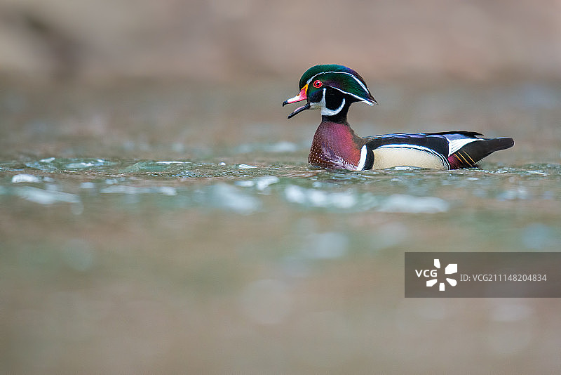 伍迪高空骑行图片素材