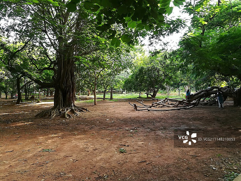 卡邦公园图片素材