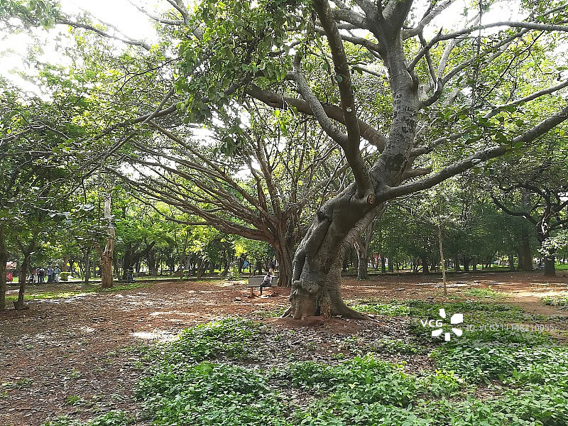 卡邦公园图片素材