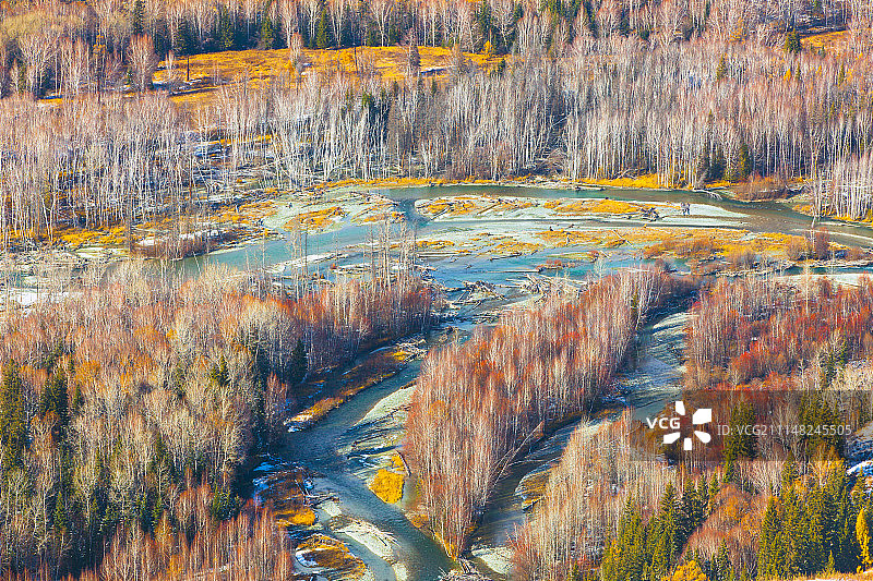 新疆北疆山林秋景图片素材