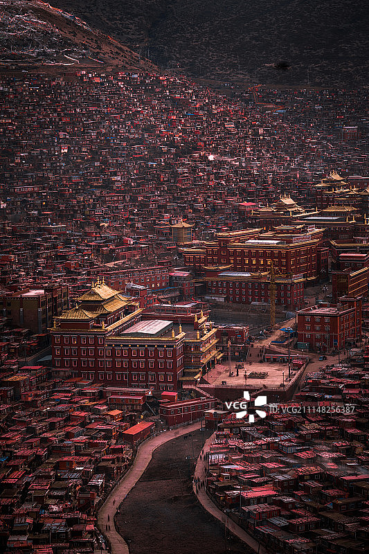 色达 喇荣寺 红色房子 佛教胜地图片素材