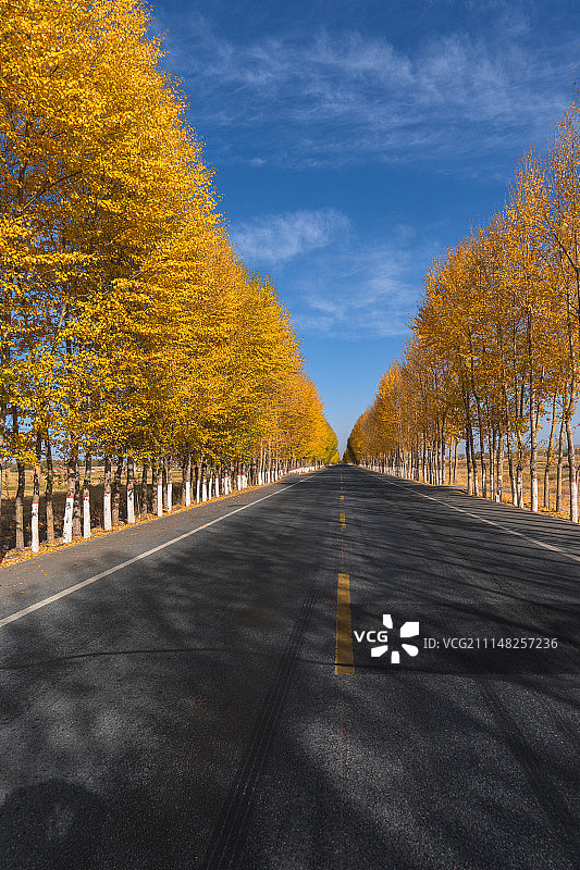 路面 透视图 公路 广告路面图片素材