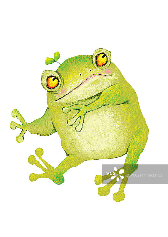 背景分离动物系列组图共3000多幅-坐着的青蛙图片素材