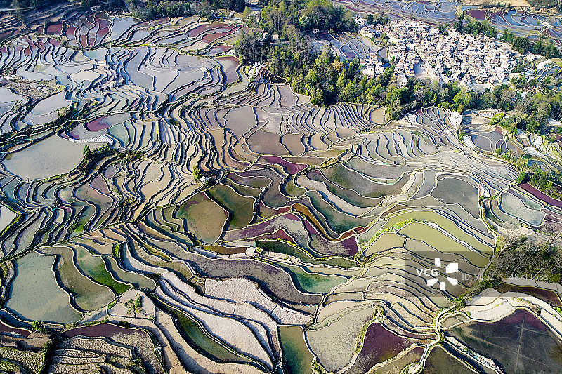 无人机航拍云南元阳梯田图片素材
