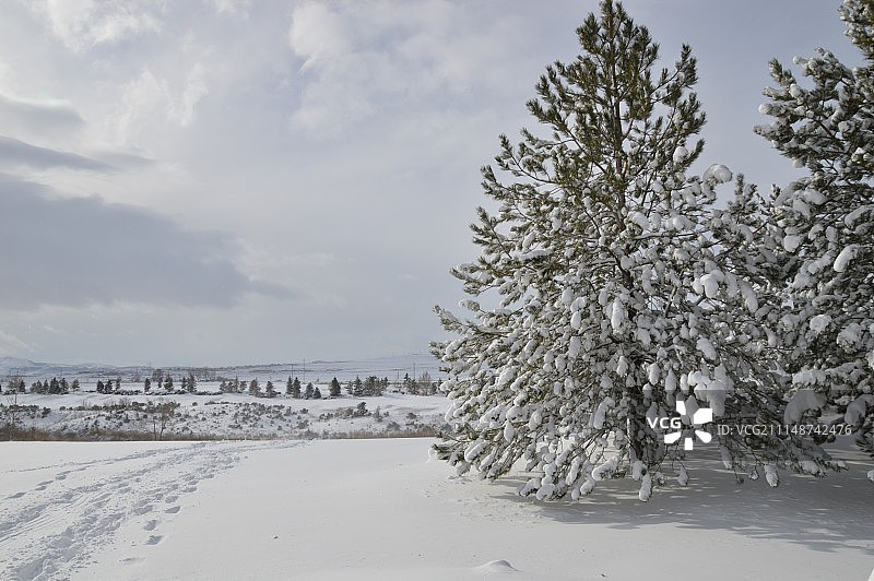 冬季仙境图片素材
