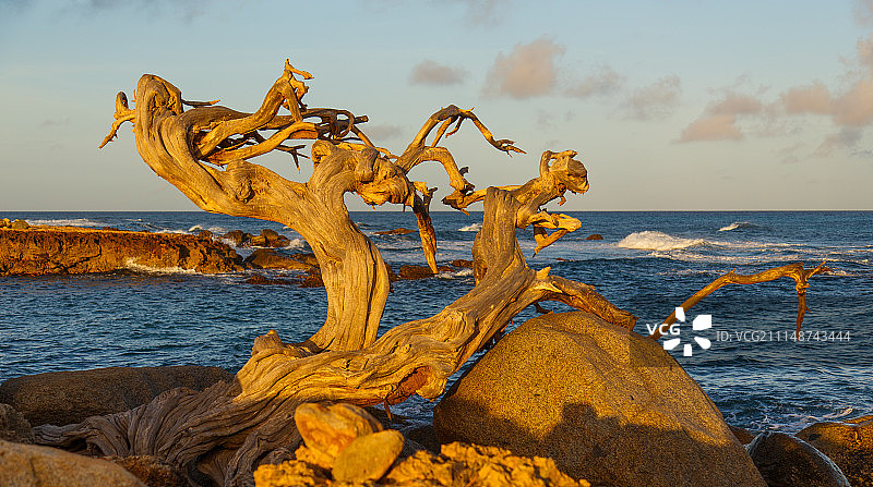 老妇人图片素材