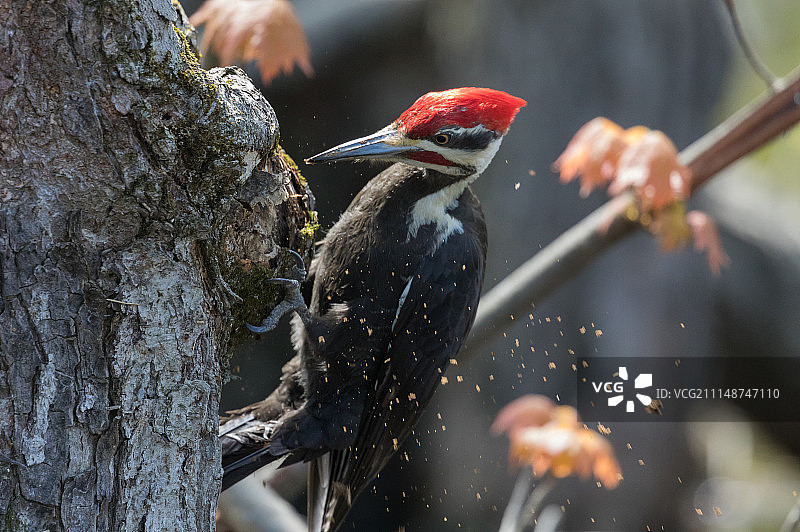 工作中图片素材