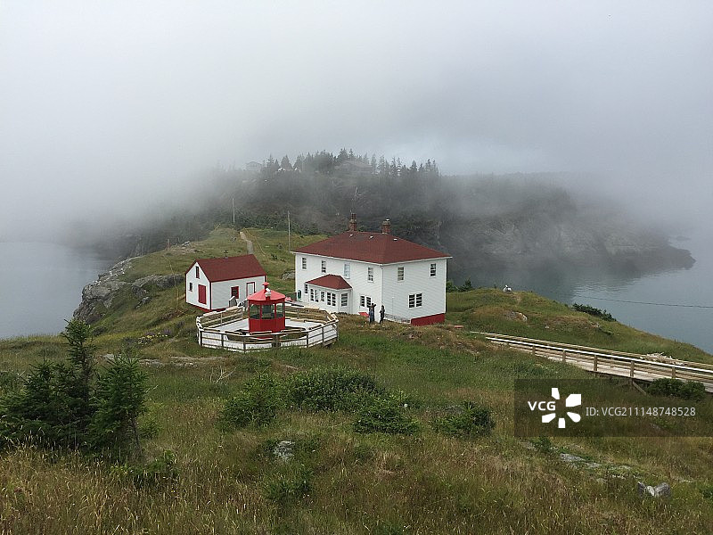 加拿大新不伦瑞克省大马南岛燕尾图片素材