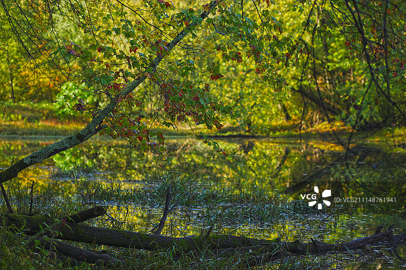 纳舒厄河HDR场景图片素材