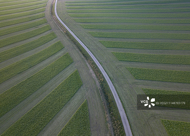 摩拉维亚田野风光图片素材