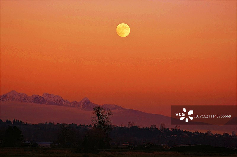 Yichun Zhang摄影作品图片素材