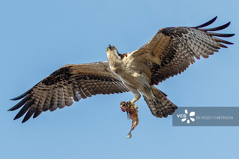 单腿支撑图片素材