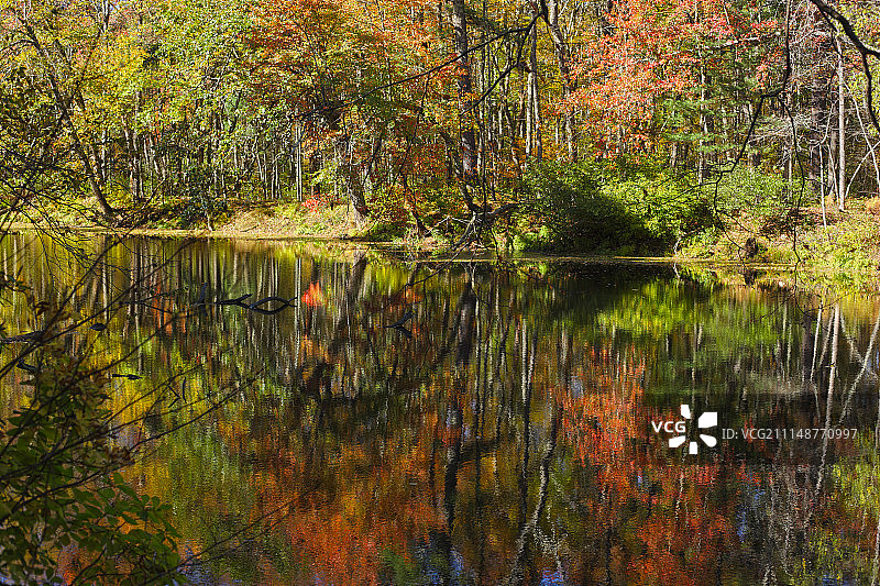 纳舒厄河秋季倒影图片素材