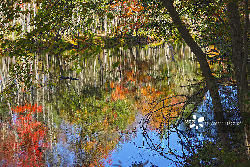 十月纳舒厄河秋景图片素材