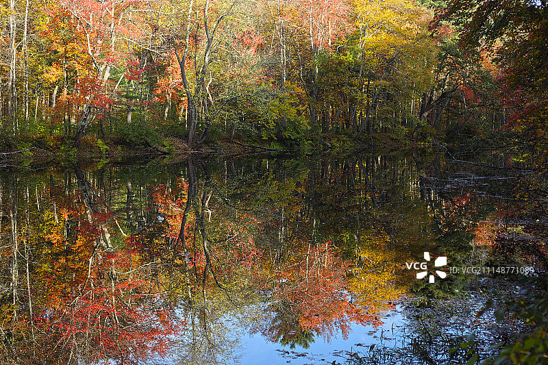 纳舒厄河秋色倒影图片素材