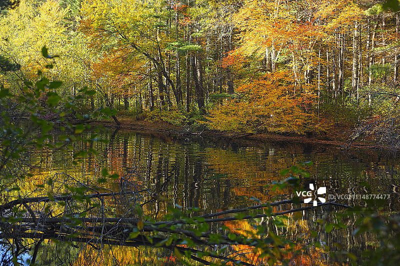 纳舒厄河秋色倒影图片素材