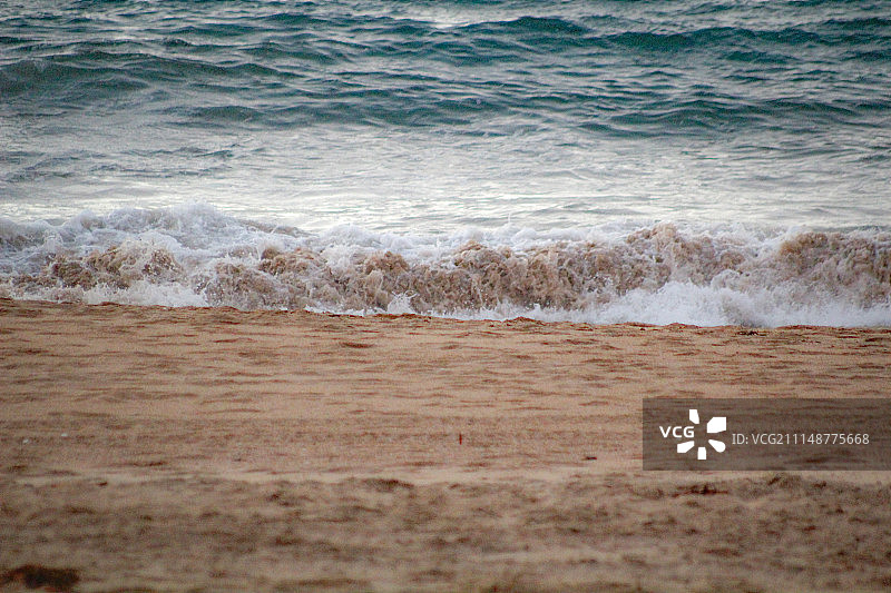 2017年阿尔加罗沃图片素材