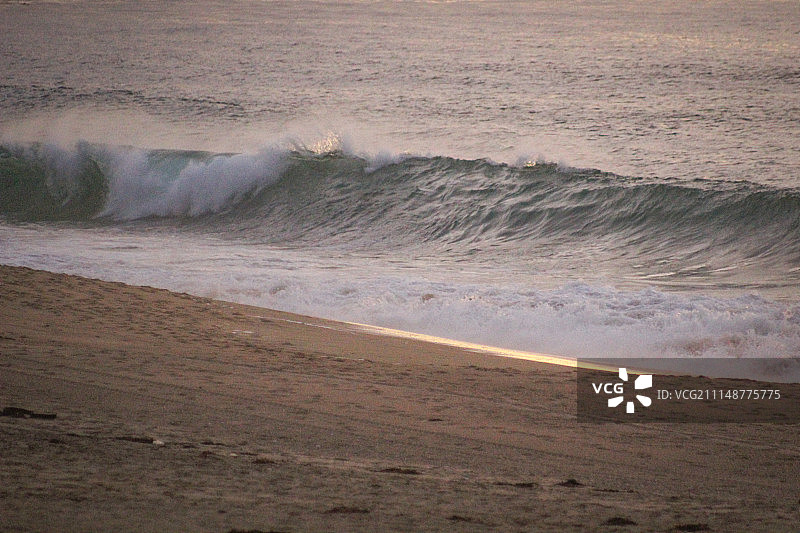 2017年阿尔加罗沃图片素材