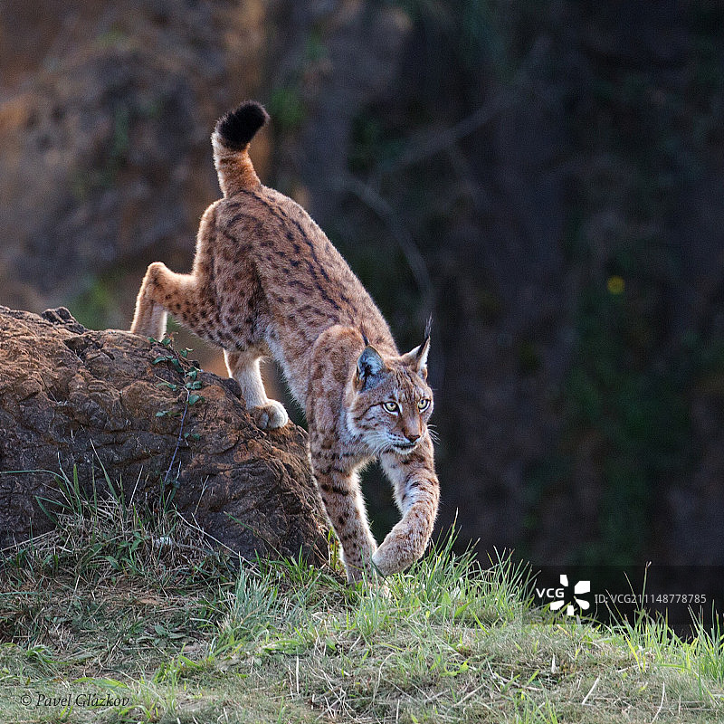 西班牙佩纳戈斯图片素材