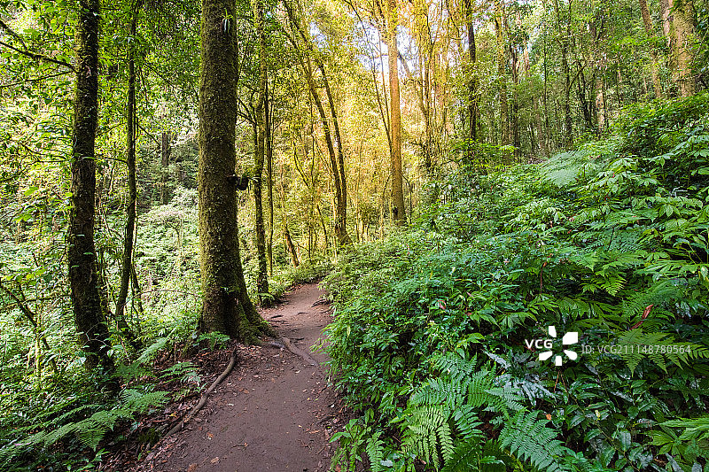 因他农山国家公园图片素材