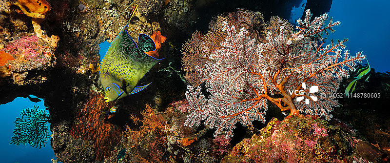 图蓝本图片素材