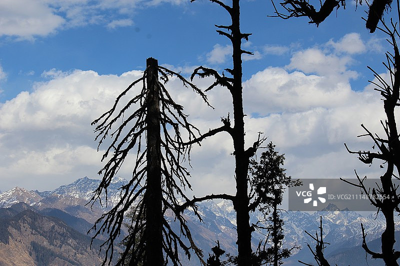 白雪皑皑的山峰仰天俯瞰图片素材