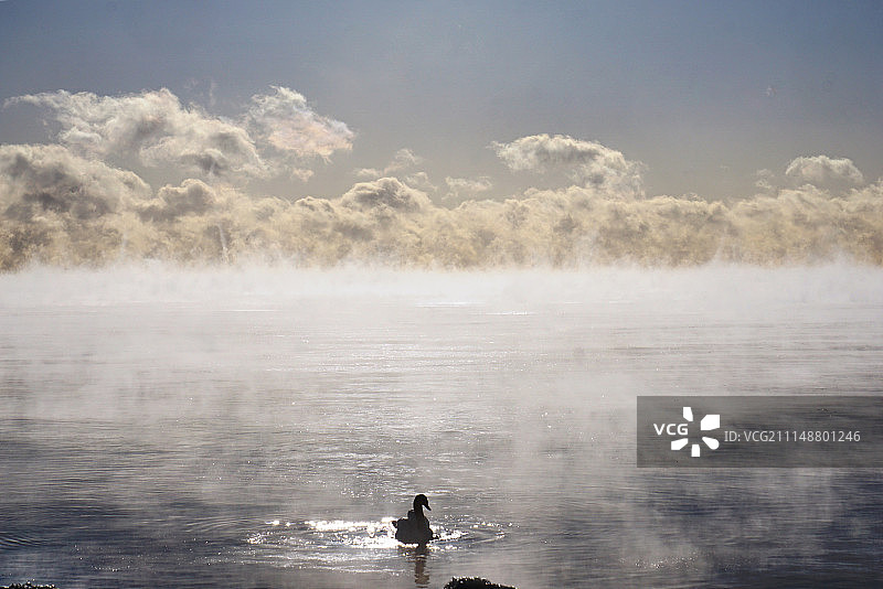 天鹅湖图片素材