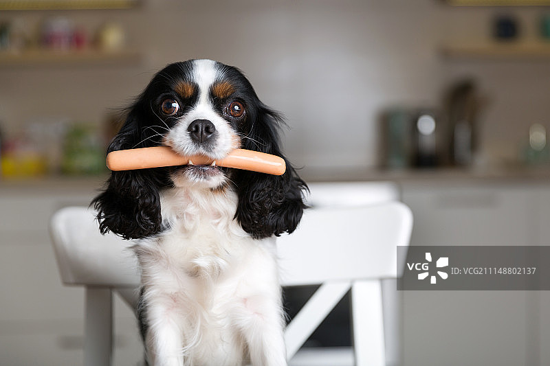 早餐吃什么？图片素材